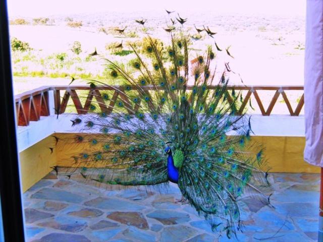 Naveterra-Hotel Rural Alandroal Dış mekan fotoğraf