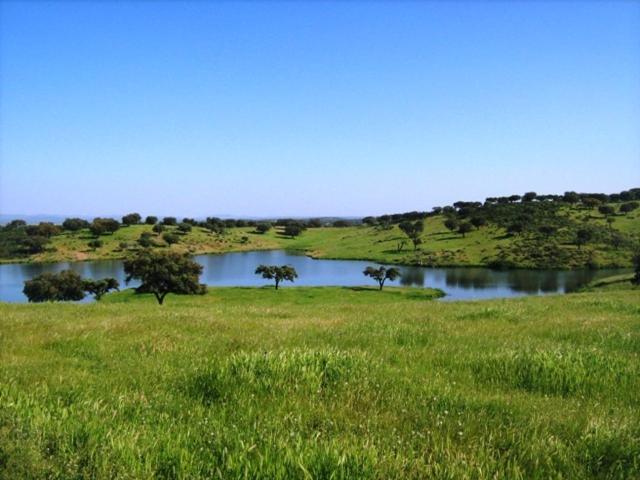 Naveterra-Hotel Rural Alandroal Dış mekan fotoğraf
