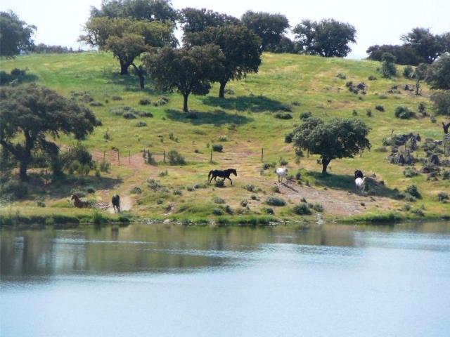 Naveterra-Hotel Rural Alandroal Dış mekan fotoğraf