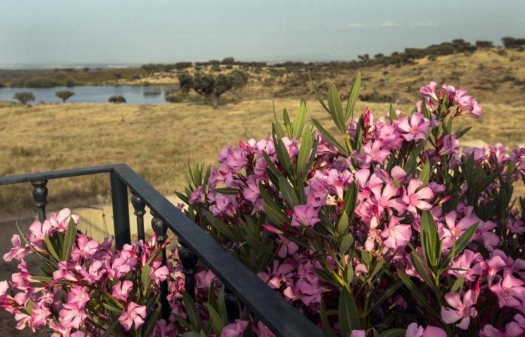 Naveterra-Hotel Rural Alandroal Dış mekan fotoğraf